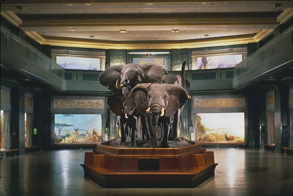 28FYI_SPAN-superJumbo.webp