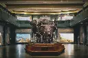 28FYI_SPAN-superJumbo.webp