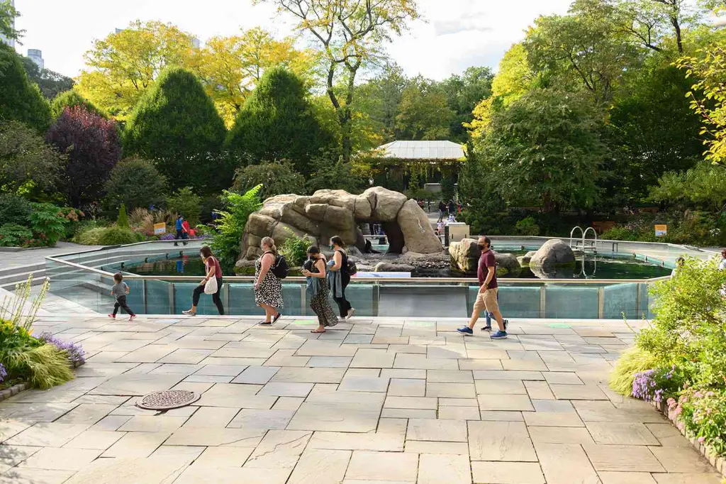 NYC-Seal-escapes-floods-09292341-c0588206d9704388a4efb75e70cffab8.webp