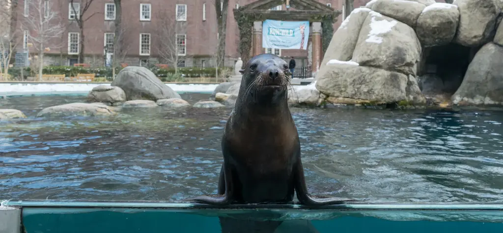 Central-Park-Zoo_20190307_091.webp