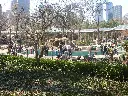 Central_Park_Zoo_area.webp