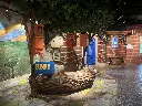 Sesame-Street-Learn-and-Play-at-American-Dream-10-scaled.webp
