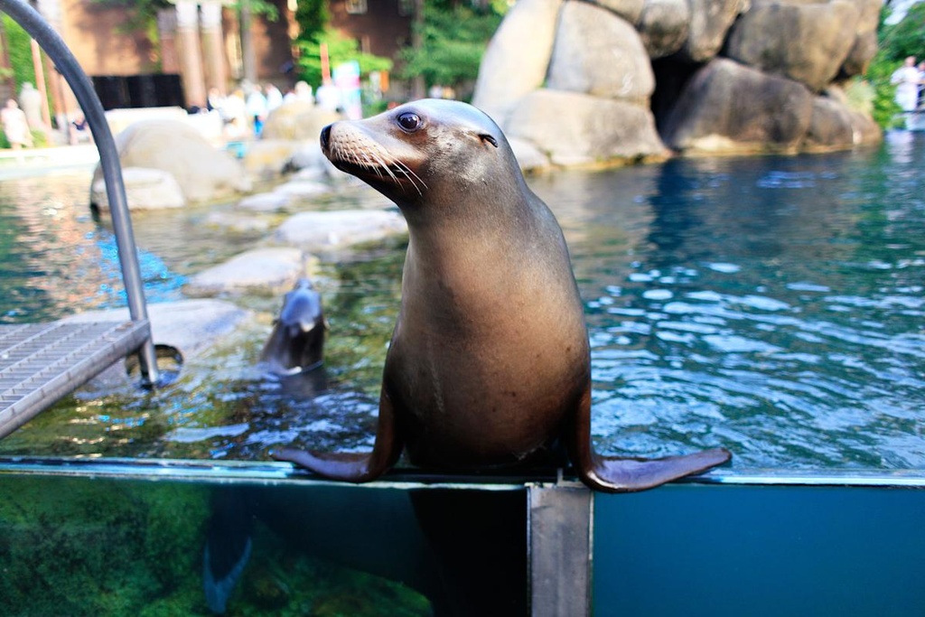 Central Park Zoo